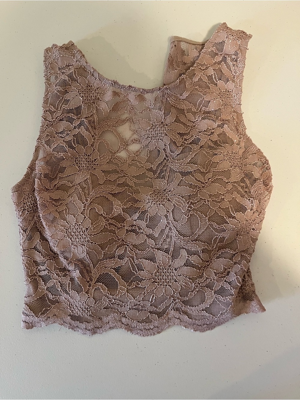 City Triangles Mauve Lace Crop Tank